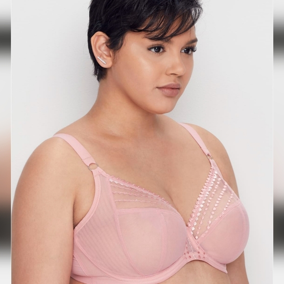 Elomi Bare Necessities Plunge Rose Bra - Picture 5 of 6